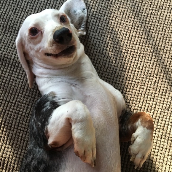 ⚠️ CAUTION! ⚠️ - Picture 3 of 7